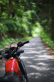 05.jpg