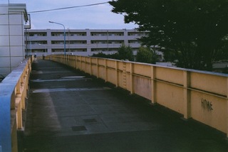 05 のコピー.jpg