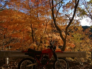 05rxx.jpg
