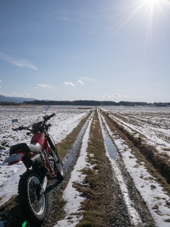 08.jpg