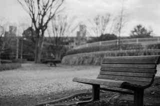 100 ACROS (18) のコピー 2.jpg
