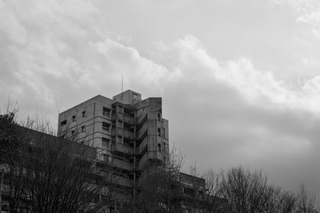 100 ACROS (28) のコピー 2.jpg