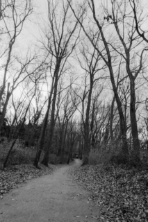100 ACROS (30) のコピー 2.jpg