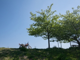 19.jpg