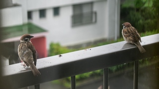 190701e.jpg
