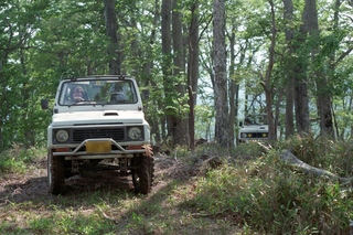 23pV100-24 のコピー 2.jpg