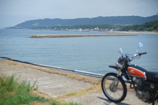 36a19_12_42.jpg