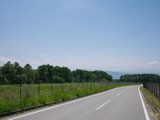 37.jpg
