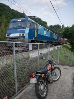 37.jpg