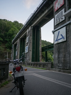 40.jpg