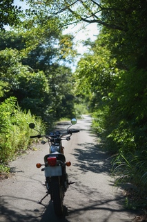 42a19_15_15.jpg