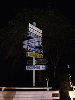 43.jpg