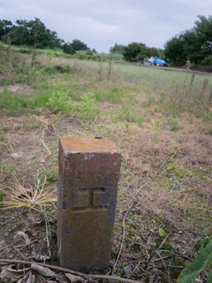 64 1708.jpg