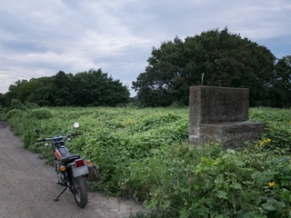 65 1713.jpg