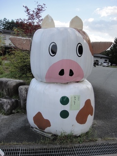 DSC01386.jpg