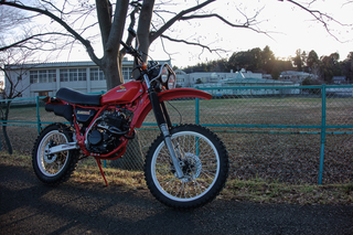 DSC01977tp.jpg