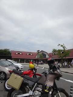 DSC03084x.jpg