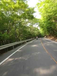 DSC03139x.jpg