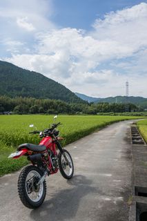 DSC04330-1 のコピー.jpg