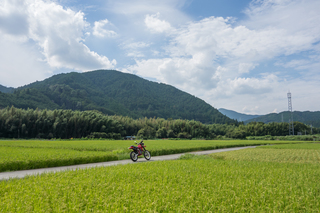 DSC04332-1 のコピー 2.jpg