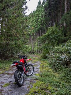 DSC04355-1 のコピー.jpg