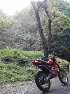 DSC05449x.jpg