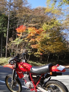 DSC05782x.jpg