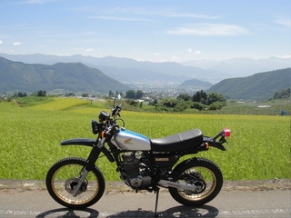 DSC05811bx.jpg