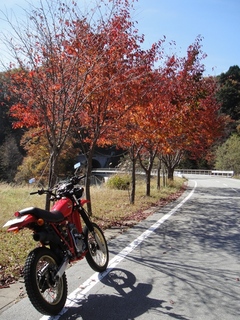 DSC05830x.jpg