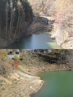 DSC05833x.jpg