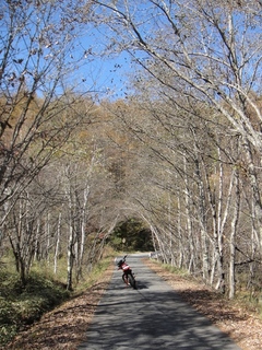 DSC05834x.jpg