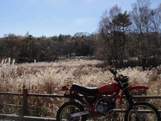 DSC05837x.jpg
