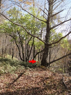 DSC05862x.jpg
