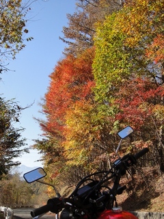 DSC05867x.jpg