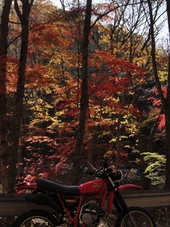 DSC05874x.jpg
