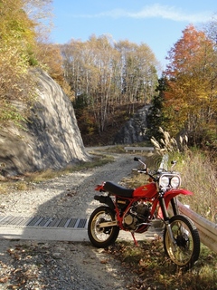 DSC05899x.jpg