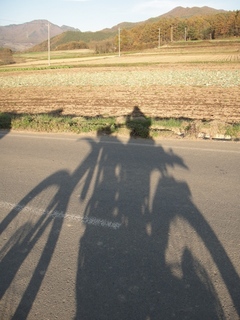 DSC05906x.jpg
