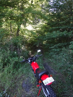DSC06663x.jpg