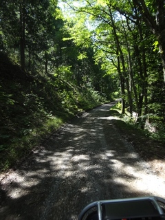DSC06701x.jpg