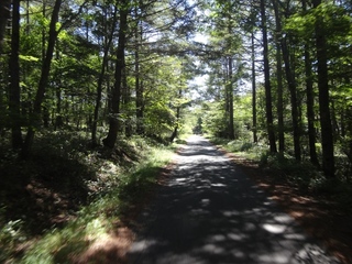 DSC06708x.jpg