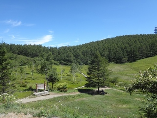 DSC06732x.jpg