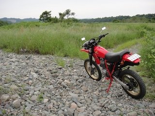 DSC07660x.jpg