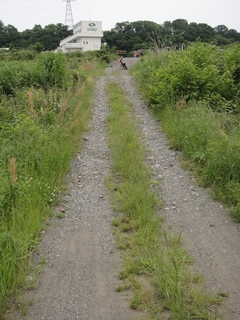 DSC07661x.jpg