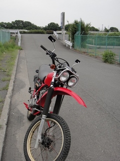 DSC07665x.jpg