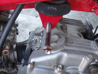 DSC08601x.jpg