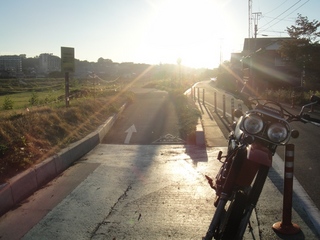 DSC08602x.jpg