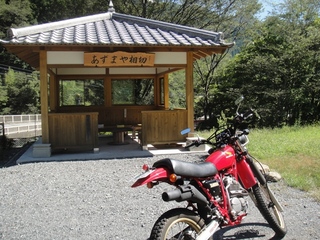 DSC08635x.jpg