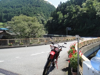 DSC08663x.jpg