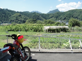 DSC08665x.jpg