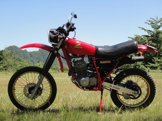 DSC08678x.jpg